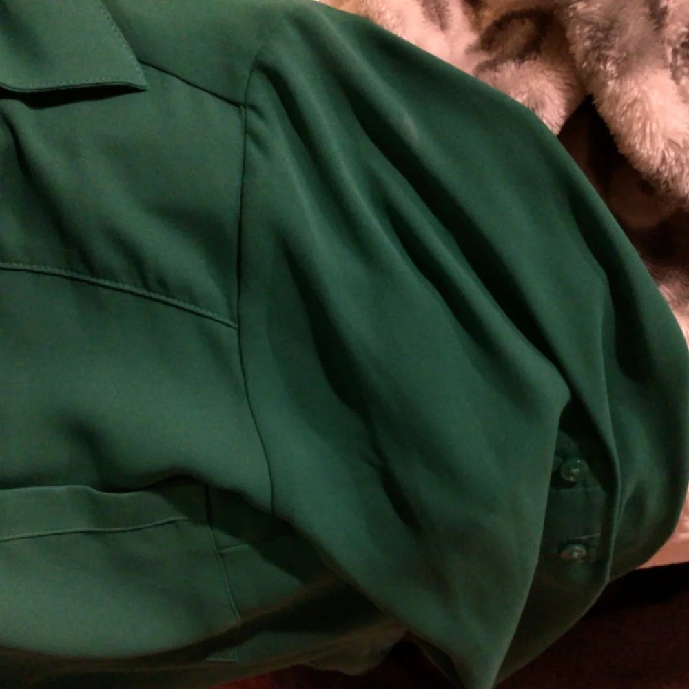 Express button down - Picture 4 of 4